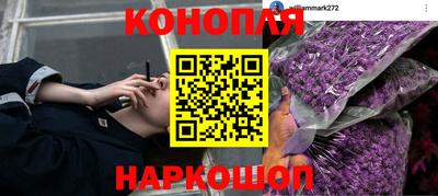 прущая мука Сланцы