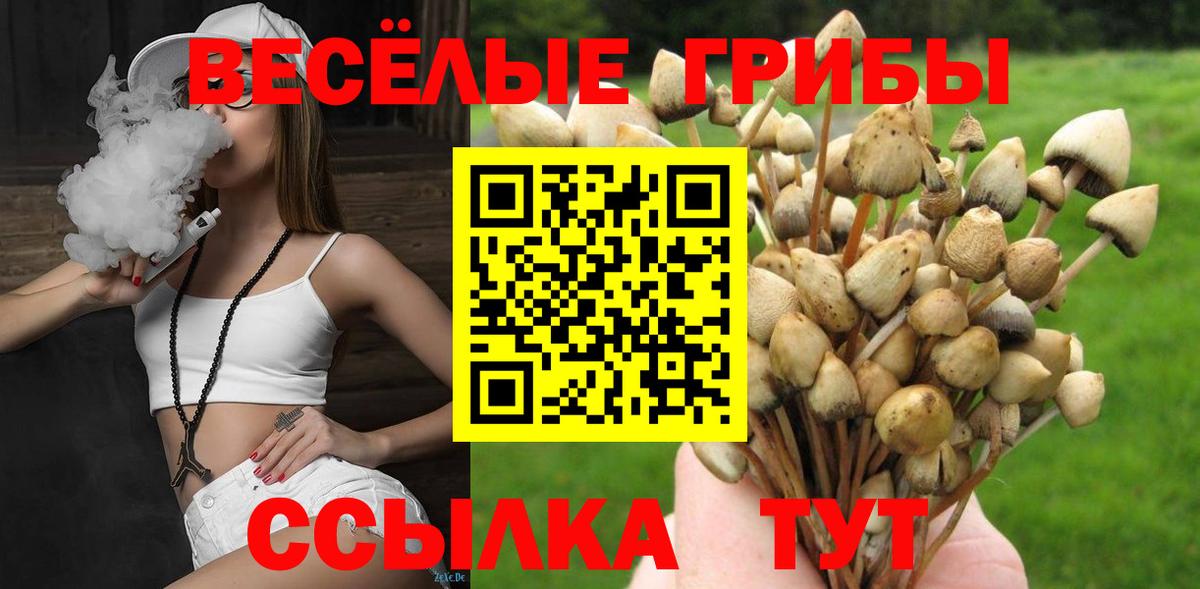 Павлово  Галлюциногенные грибы MAGIC MUSHROOMS  Галлюциногенные грибы Psilocybine cubensis  Вход с VPN 