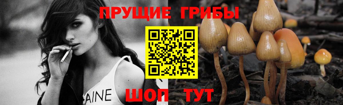 Галлюциногенные грибы ЛСД Павлово